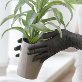 AVIORA перчатки нитриловые Черные